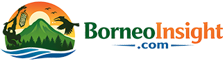 Borneo Insight
