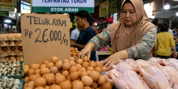 Libur Program Makan Bergizi Gratis Picu Penurunan Harga Telur dan Daging Ayam