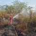 97,7 Hektare Lahan Hangus, Samarinda Gencarkan Mitigasi Bencana Kemarau